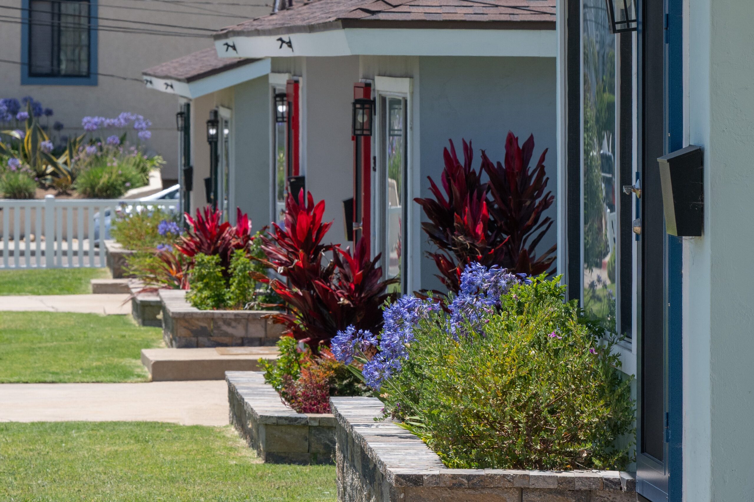 Gallery Landscaped front yards and colorful gardens along the entrances of The Dahlia Coastal Bungalows duplex residences.