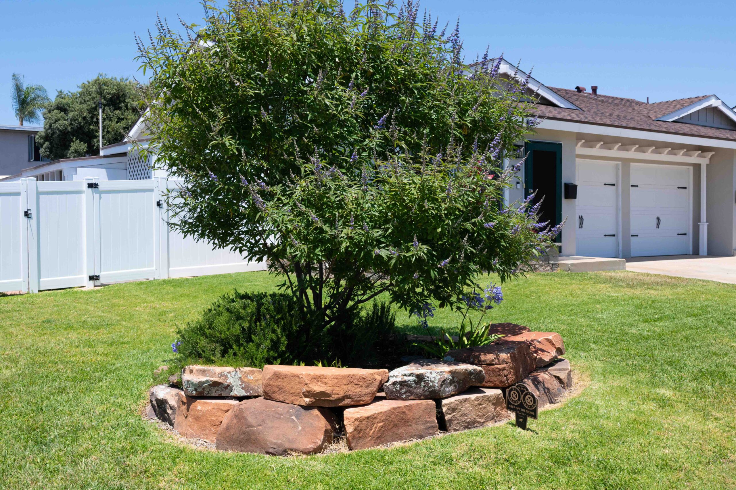Gallery Landscaped yard with mature tree, green lawn, and fenced outdoor space at an Imperial Beach rental residence.